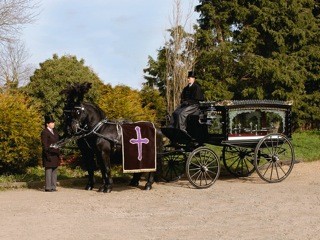 Black horses funeral transport