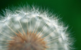 Salford Funeral Services Funeral Service in Salford, Lancs