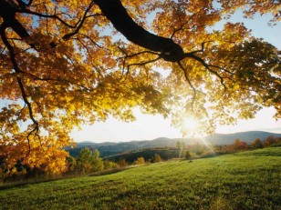 Prestwich Funeral Service Funeral service in PRestwich Manchester