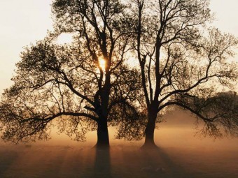 Prestwich Funeral Service Church Service Prestwich Funeral