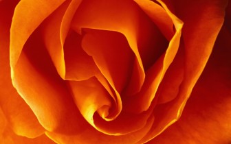 Manchester Funeral Service Funeral Directors in Manchester and Salford