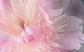 Hollins, Bury Funeral Service Funeral Service Blackley, manchester