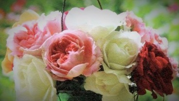 Manchester Funeral services Funeral Services in Manchester Salford and Prestwich