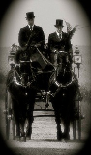 Horse drawn hearse