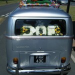 Flowers in VW