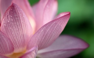 Prestwich Funeral Service Funeral Service in Prestwich, Whitefield and Bury