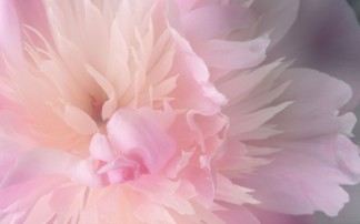Salford Funeral Service Funerals in Salford
