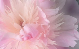 Prestwich Funerals Funeral Service in Pretwich